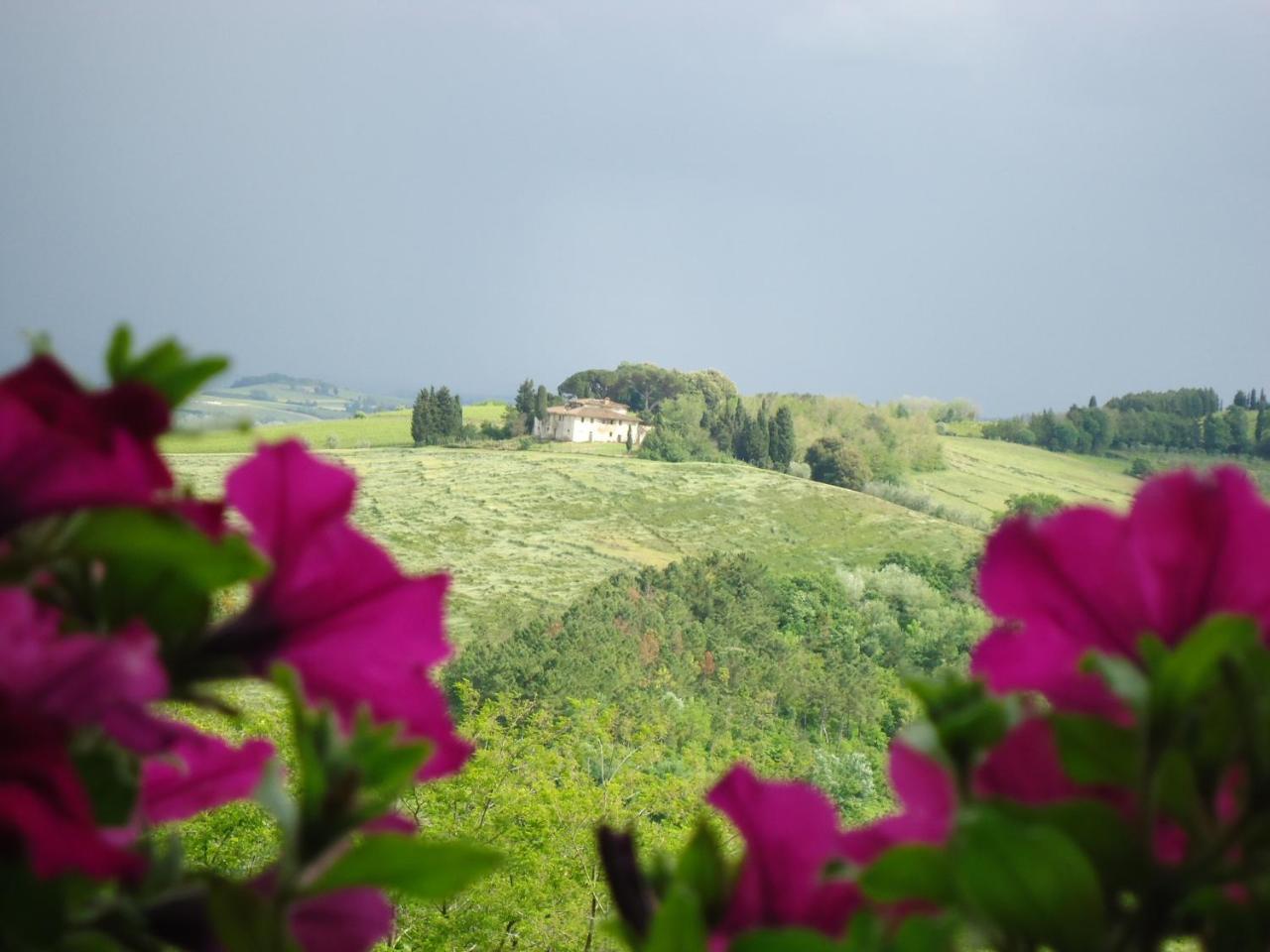 Borgo Fajani * Terricciola